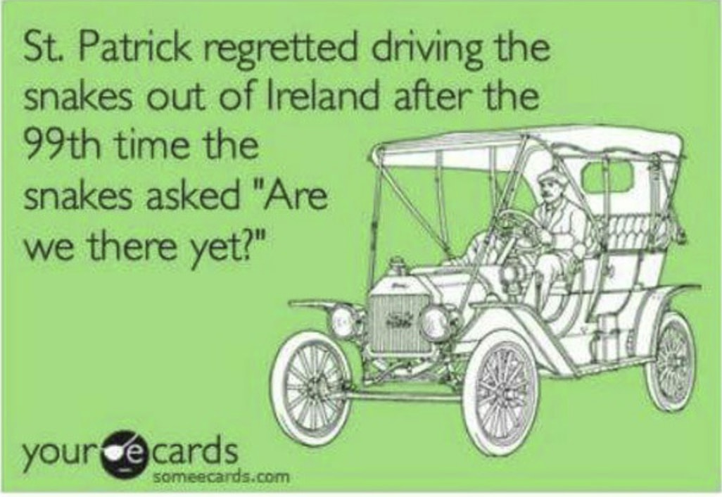 St. Patrick's Day memes - st patrick's day memes - St. Patrick regretted driving the snakes out of Ireland after the 99th time the snakes asked "Are we there yet?" youre cards someecards.com