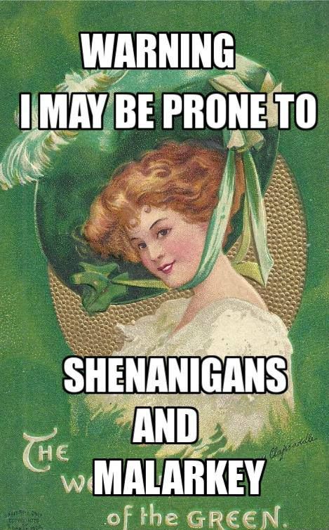 St. Patrick's Day memes - funny st patrick's day memes - Warning Imay Be Prone To Shenanigans And w Malarkey of the Green Cajsarella Stine Este