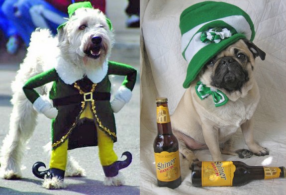 St. Patrick's Day memes - dogs in costumes - Shine Oce Socr Shiner