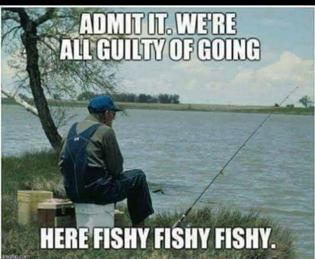 Truth Memes - Admit It. We'Re All Guilty Of Going Here Fishy Fishy Fishy.