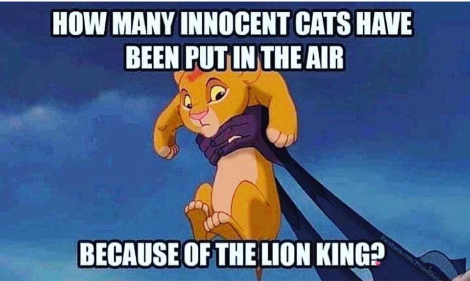 Cat Memes - many innocent cats have been put - How Many Innocent Cats Have Been Put In The Air Because Of The Lion King? Pod