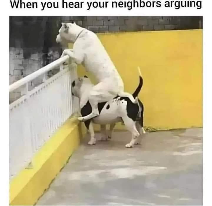 you hear your neighbors arguing meme - When you hear your neighbors arguing