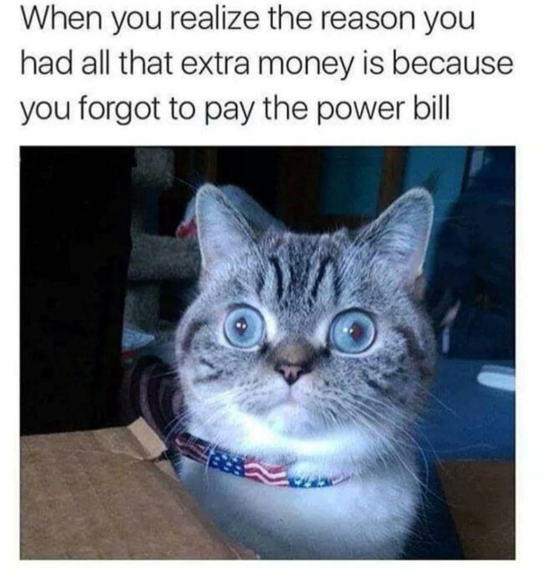 Cat Memes - furious rajang meme - When you realize the reason you had all that extra money is because you forgot to pay the power bill