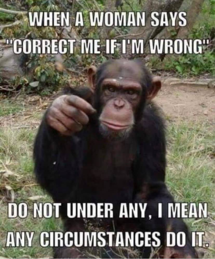 marriage memes - funny monkey - When A Woman Says "Correct Me If I'M Wrong" Do Not Under Any, I Mean Any Circumstances Do It.
