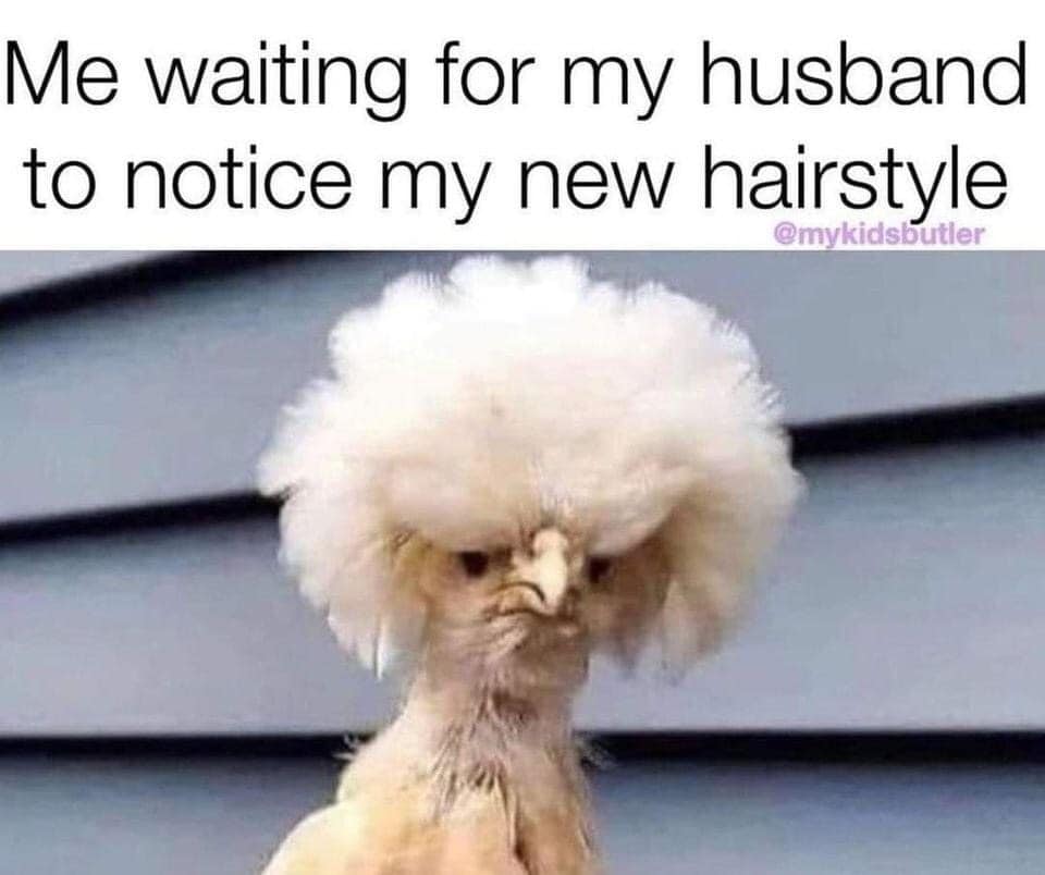 marriage memes - karen chicken - Me waiting for my husband to notice my new hairstyle