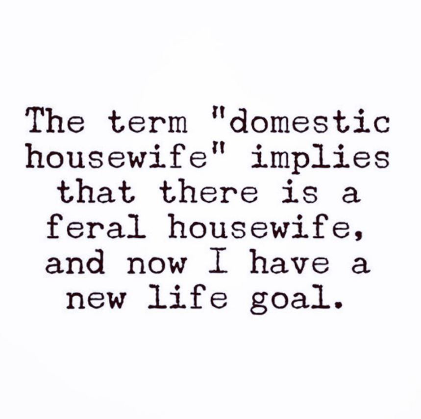 marriage memes - live life quotes - The term "domestic housewife" implies that there is a feral housewife, and now I have a new life goal.