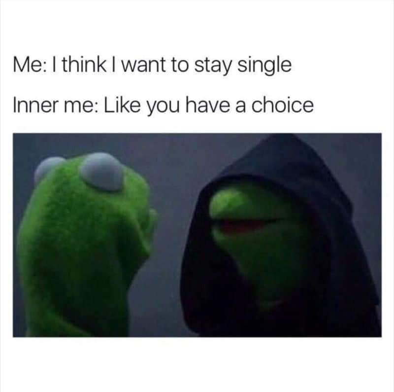 Single Life Memes - single meme - Me I think I want to stay single Inner me you have a choice