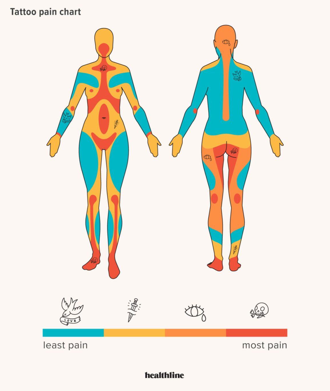 Weird facts and charts about the human body