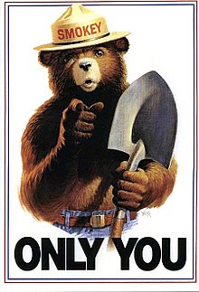 Vintage PSAs - smokey the bear - Smokey Only You