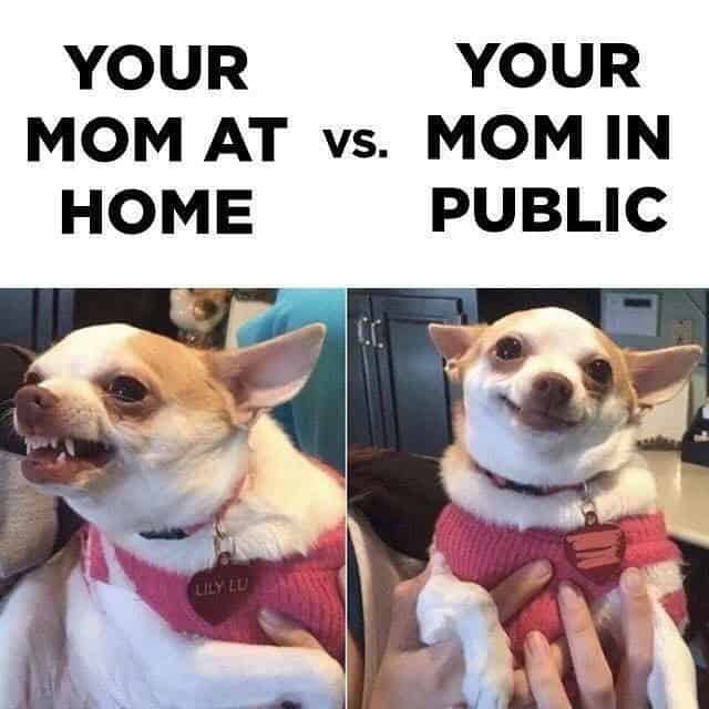 61 funny memes that accurately depict mom life