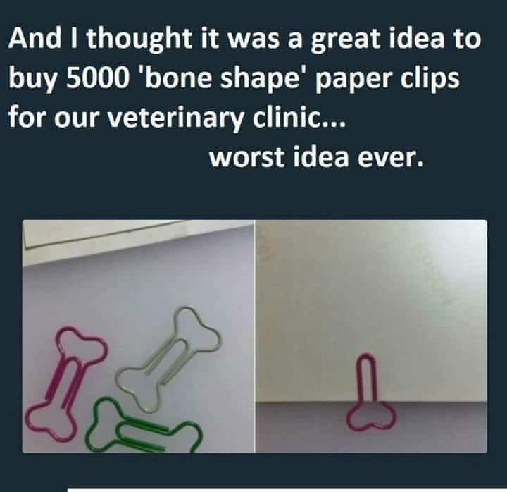 Memes and Fails - bone shaped paper clips - And I thought it was a great idea to buy 5000 'bone shape' paper clips for our veterinary clinic... worst idea ever.