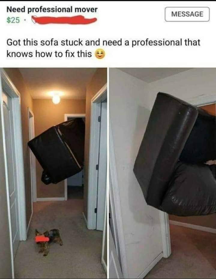 Memes and Fails - couch stuck in door - Need professional mover $25 Message Got this sofa stuck and need a professional that knows how to fix this