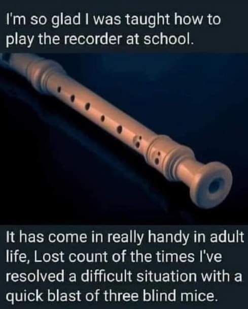 Memes and Fails - i m so glad i was taught to play the recorder at school - I'm so glad I was taught how to play the recorder at school. It has come in really handy in adult life, Lost count of the times I've resolved a difficult situation with a quick bl