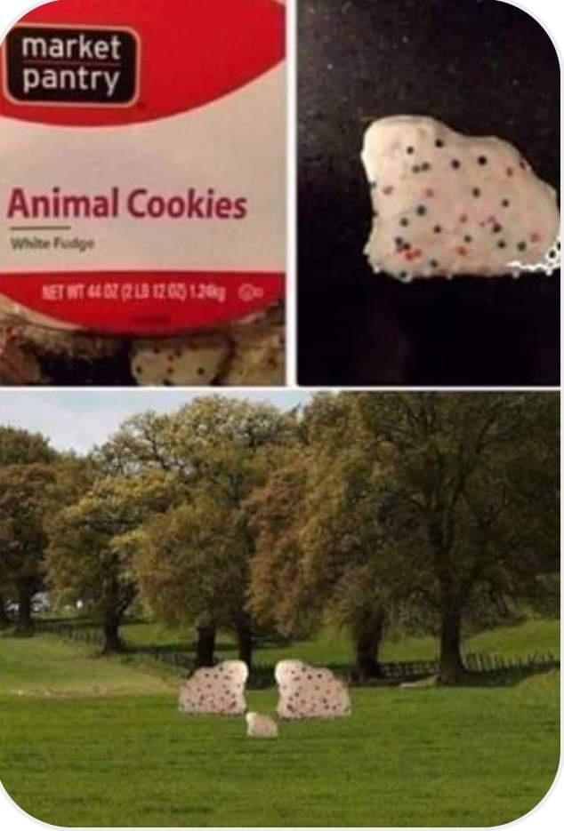 Memes and Fails - animal cookies meme - market pantry Animal Cookies Wide Let