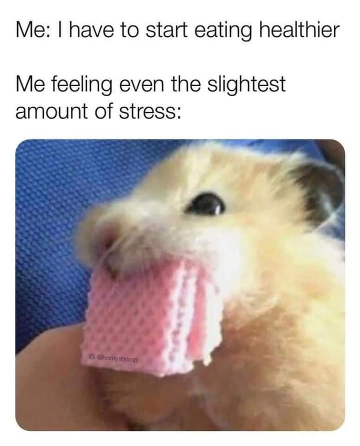 funny and relatable memes - funny animal memes 2020 - Me I have to start eating healthier Me feeling even the slightest amount of stress Ig
