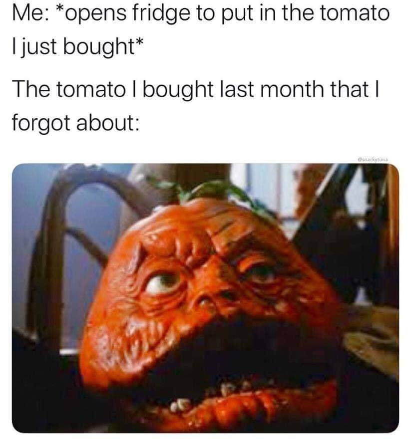 funny and relatable memes - orange - Me opens fridge to put in the tomato I just bought The tomato I bought last month that I forgot about snackytuna L