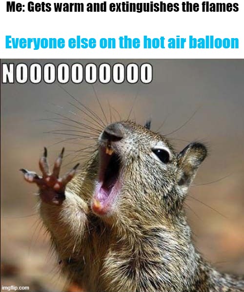 35 incredible hot air balloons and funny meme pics