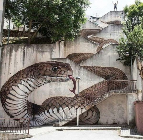 Best Murals and Graffiti - graffiti snake