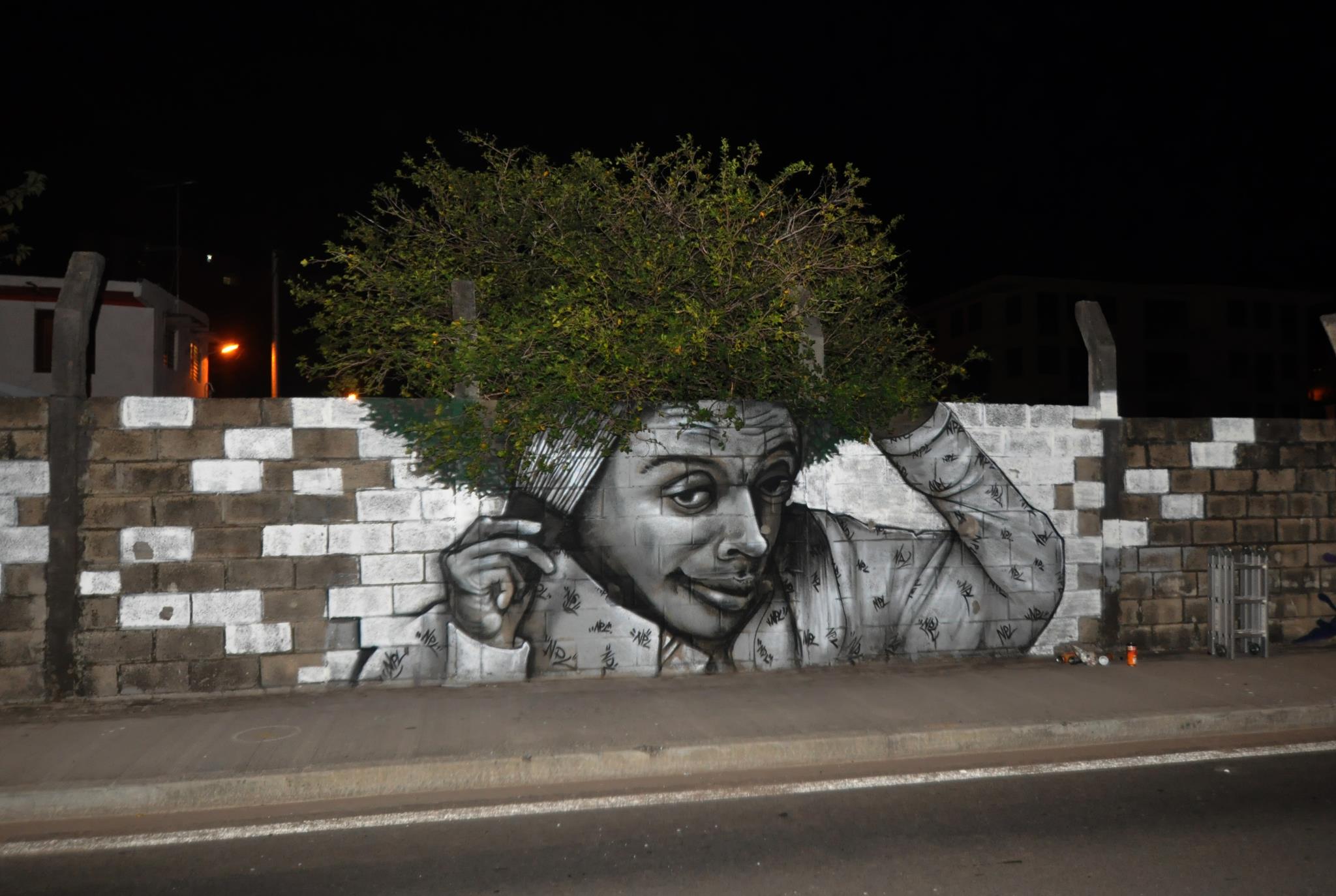 Best Murals and Graffiti - warmus ragunan - Npa N Apa Amply Ndl