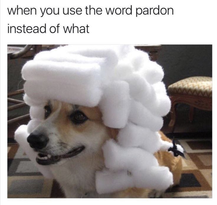 funny pictures - funny you use the word pardon instead - when you use the word pardon instead of what