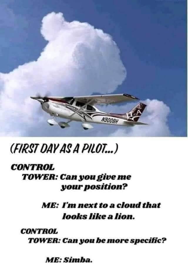 funny pictures - funny first day as a pilot simba - N9008H First Day As A Pilot... Control Tower Can you give me your position? Me I'm next to a cloud that looks a lion. Control Tower Can you be more specific? Me Simba.