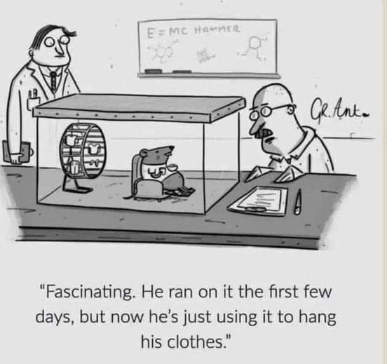 funny pictures - funny cartoon hamster wheel hangs clothes - E Mc Hammer A "Fascinating. He ran on it the first few days, but now he's just using it to hang his clothes." Ce Ant