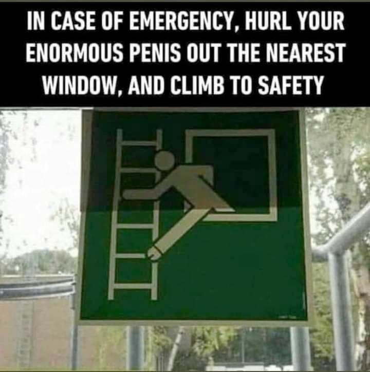 monday morning randomness - case of emergency hurl your enormous - In Case Of Emergency, Hurl Your Enormous Penis Out The Nearest Window, And Climb To Safety TiT