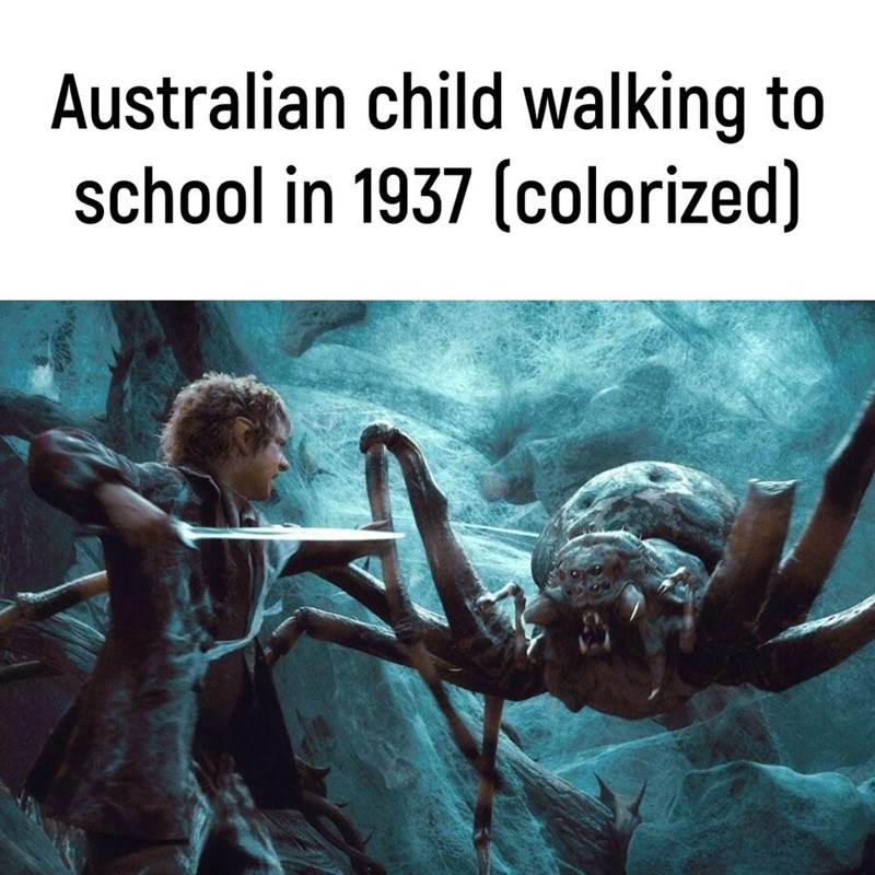 Meanwhile, in Australia