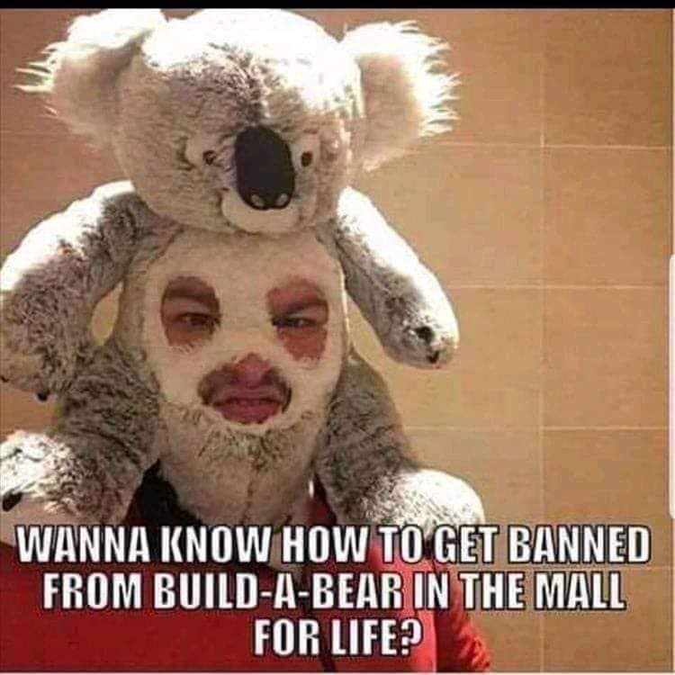 dad memes - banned from build a bear - Wanna Know How To Get Banned From BuildABear In The Mall For Life?