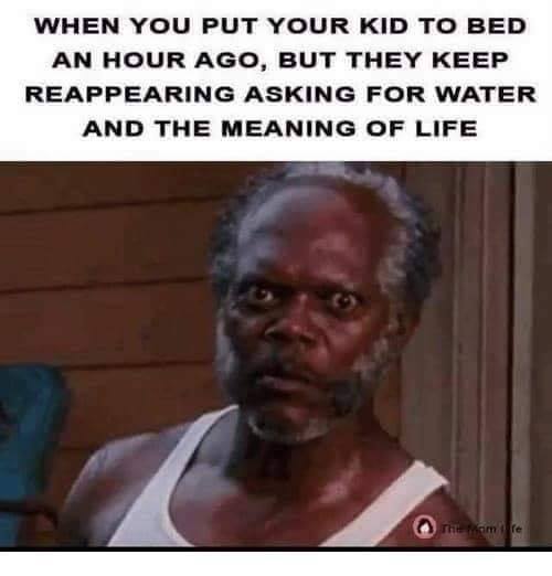 dad memes - samuel l jackson black snake - When You Put Your Kid To Bed An Hour Ago, But They Keep Reappearing Asking For Water And The Meaning Of Life The Mome
