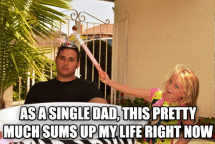 dad memes - funny dad memes - As A Single Dad, This Pretty Much Sums Up My Life Right Now