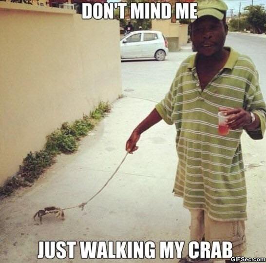 redneck memes and pics - small drake - Don'T Mind Me Just Walking My Crab GIFSec.com