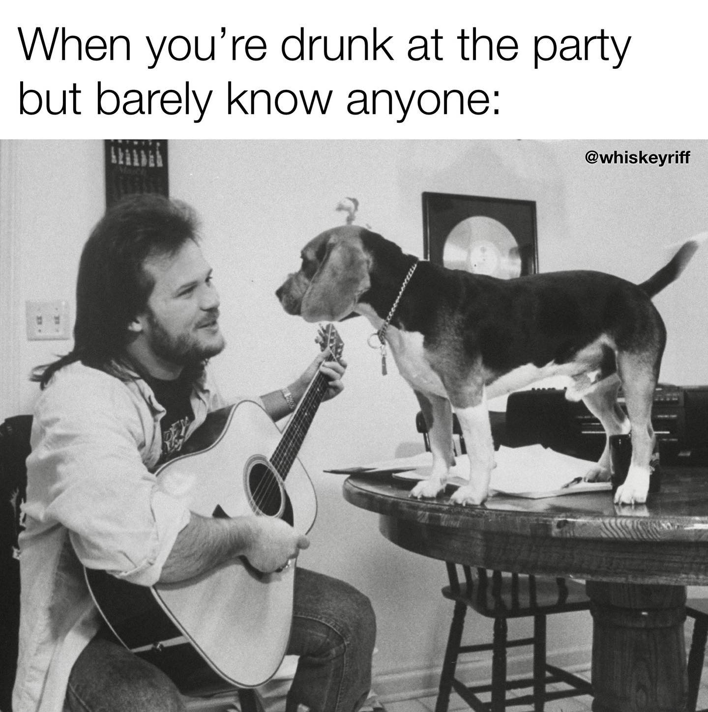 redneck memes and pics - dog - When you're drunk at the party but barely know anyone