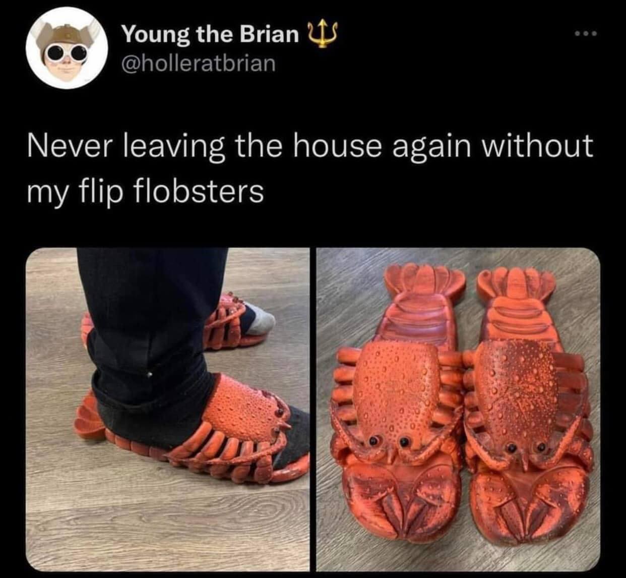 redneck memes and pics - flip flobsters - Young the Brian Never leaving the house again without my flip flobsters