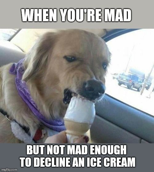 hot memes for summer - ice cream funny meme - imgflip.com When You'Re Mad But Not Mad Enough To Decline An Ice Cream
