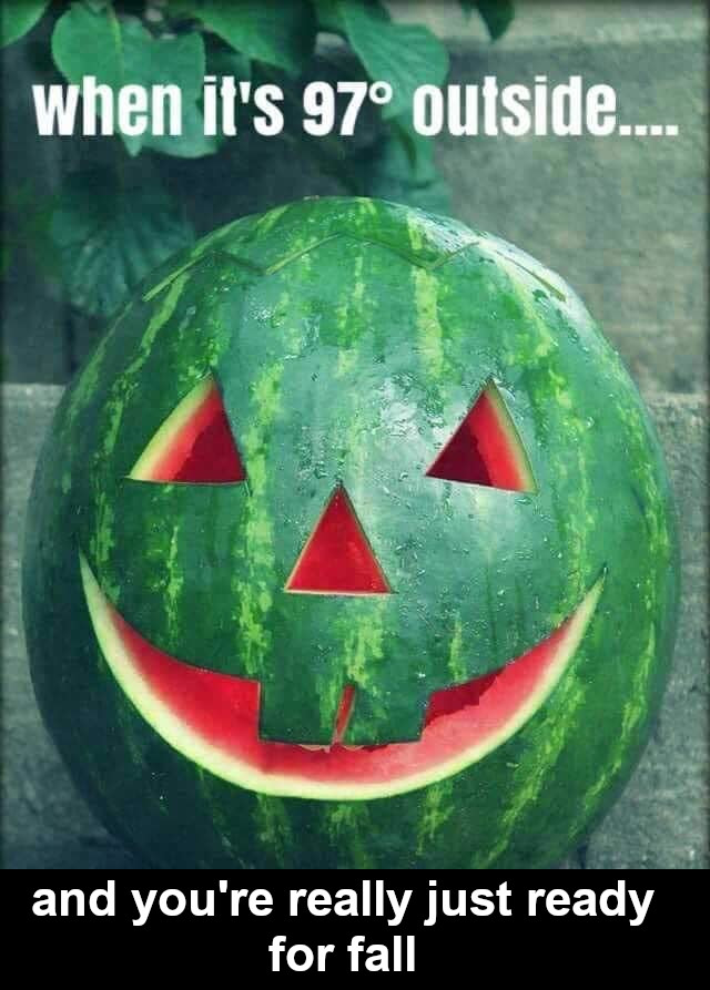hot memes for summer - watermelon - when it's 97 outside.... and you're really just ready for fall