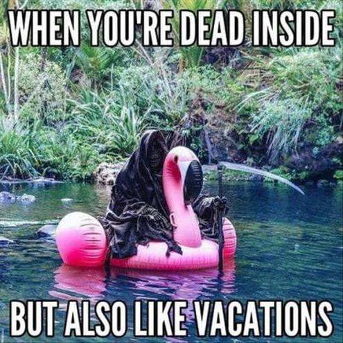 hot memes for summer - grim reaper pool - When You'Re Dead Inside But Also Vacations