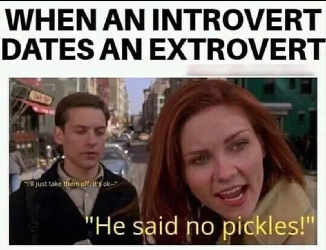 42 hilarious ones that will make sense to the introverts