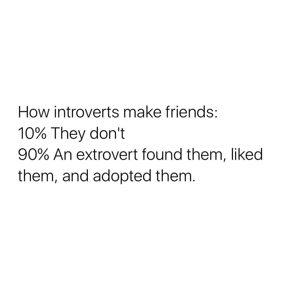 42 hilarious ones that will make sense to the introverts