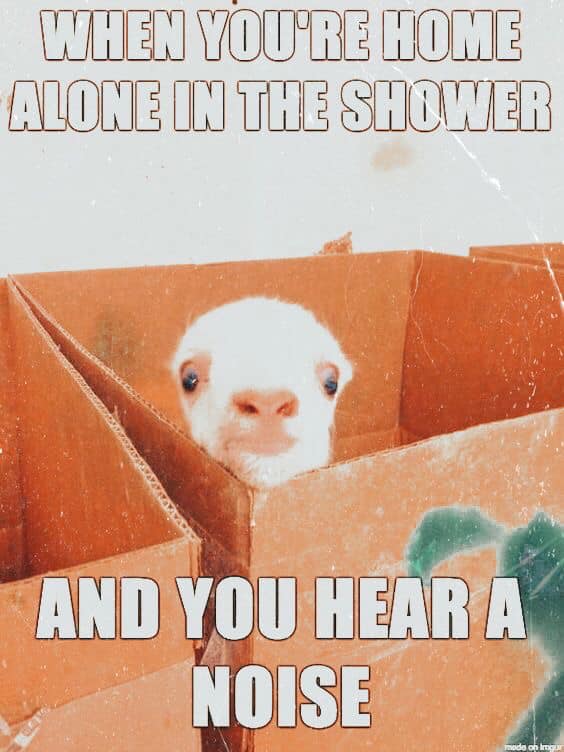 relatable memes - funny baby goat meme - When You'Re Home Alone In The Shower And You Hear A Noise mode on Imgur