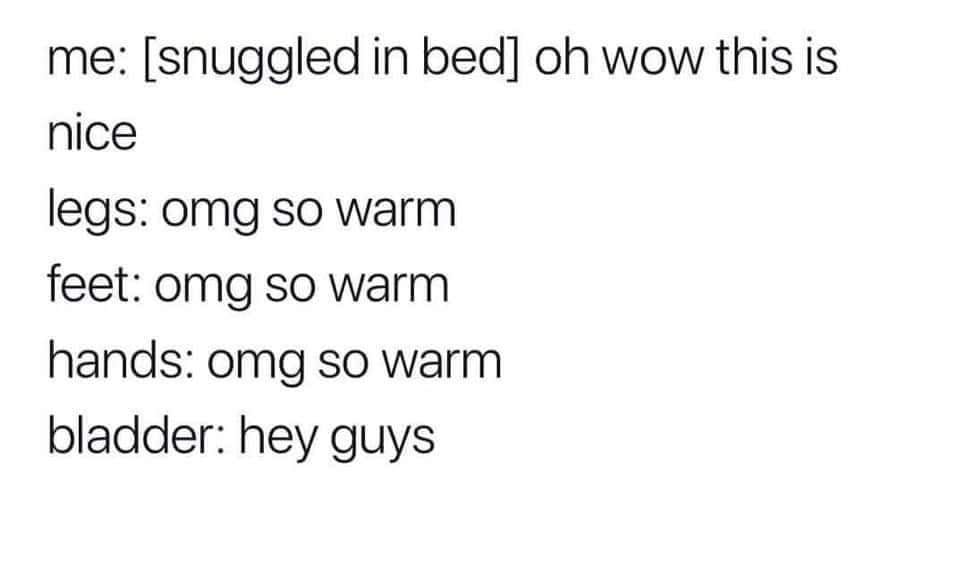 relatable memes - angle - me snuggled in bed oh wow this is nice legs omg so warm feet omg so warm hands omg so warm bladder hey guys