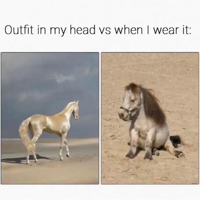 relatable memes - people living a beautiful majestic life - Outfit in my head vs when I wear it