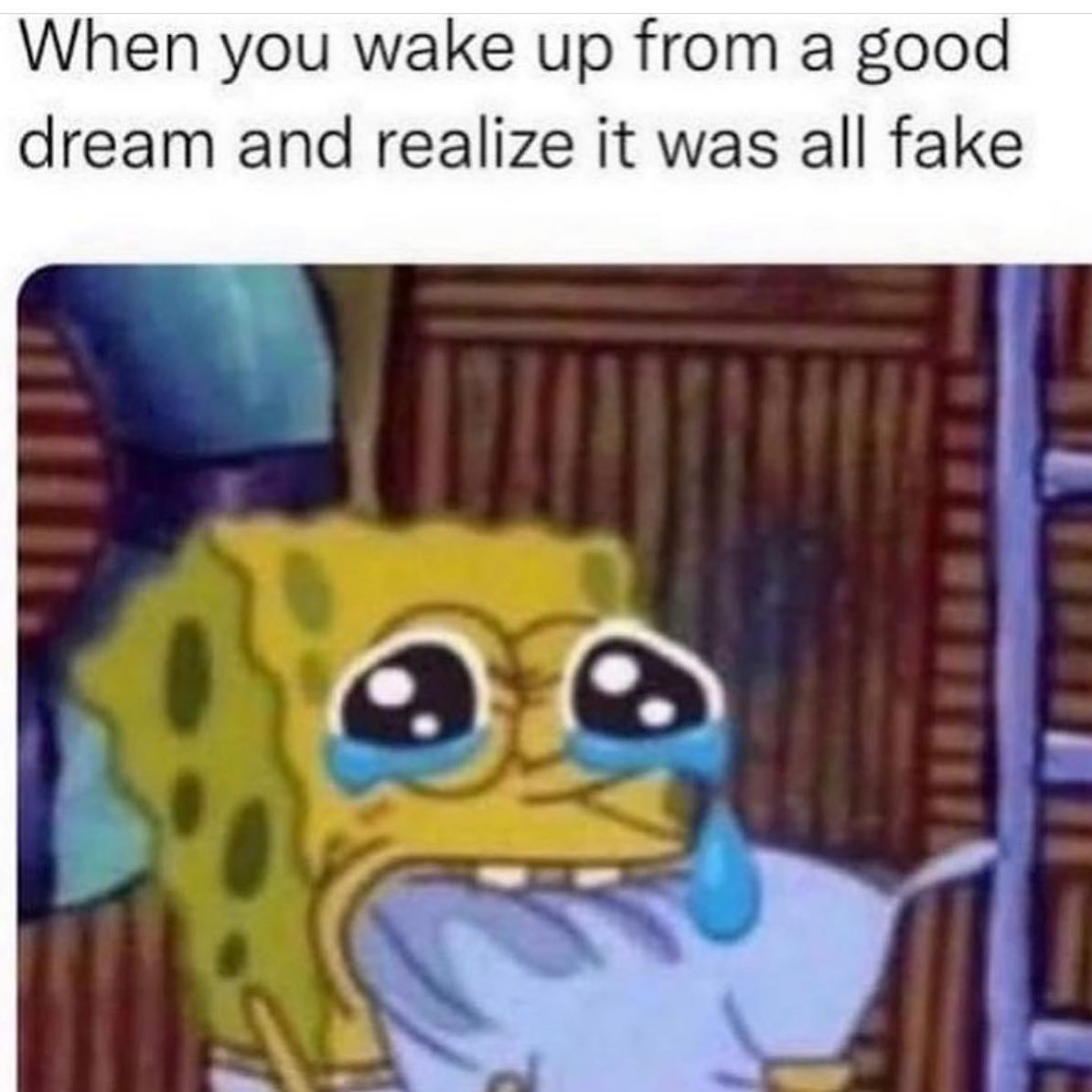 relatable memes - dream memes - When you wake up from a good dream and realize it was all fake