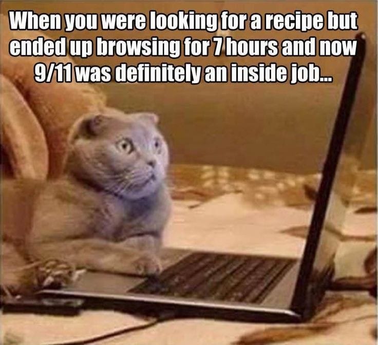relatable memes - cat on laptop meme - When you were looking for a recipe but ended up browsing for 7 hours and now 911 was definitely an inside job...