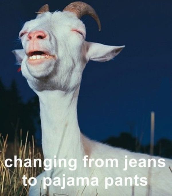 relatable memes - goat meme - changing from jeans to pajama pants
