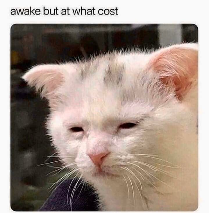 relatable memes - awake but at what cost - awake but at what cost