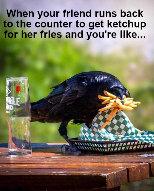 relatable memes - crow stealing food - When your friend runs back to the counter to get ketchup for her fries and you're ... Ele Nd W
