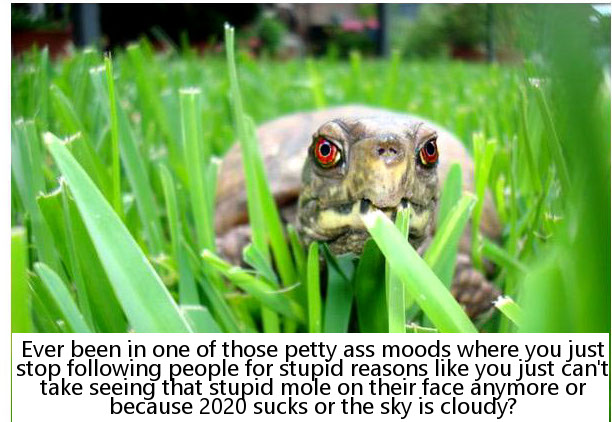 relatable memes - grass - Ever been in one of those petty ass moods where you just stop ing people for stupid reasons you just can't take seeing that stupid mole on their face anymore or because 2020 sucks or the sky is cloudy?