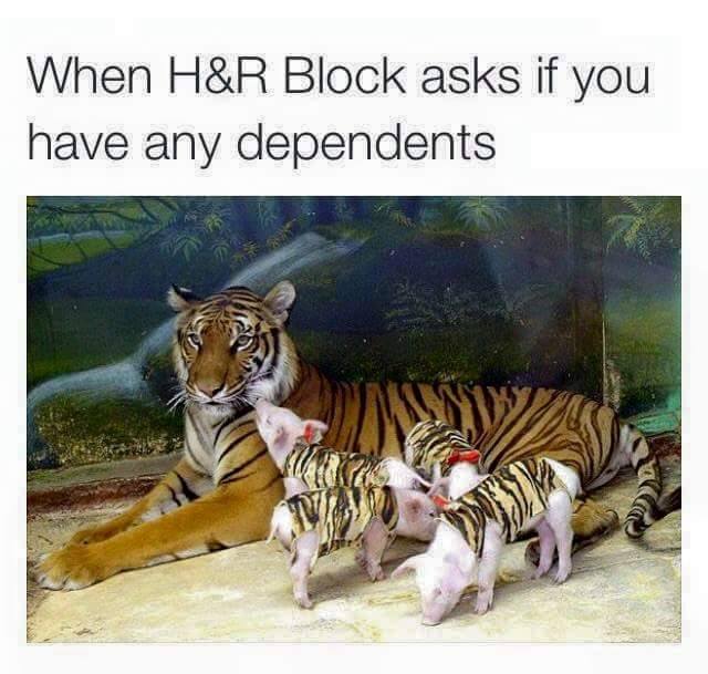 funny memes - dank memes - tiger with piglets - When H&R Block asks if you have any dependents