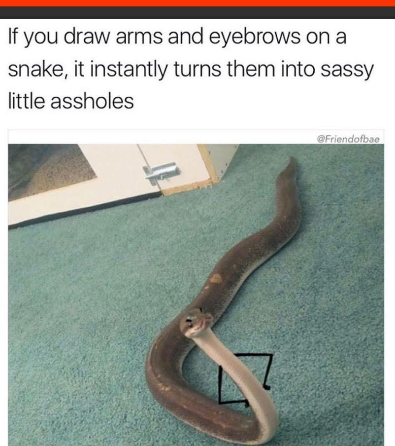 funny memes - dank memes - snakes with doodles - If you draw arms and eyebrows on a snake, it instantly turns them into sassy little assholes